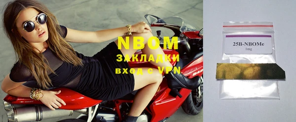 хмурый Алексин