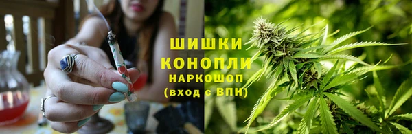 ГАЛЛЮЦИНОГЕННЫЕ ГРИБЫ Алексеевка