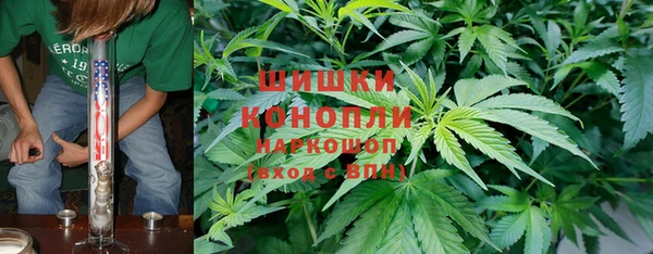 ГАЛЛЮЦИНОГЕННЫЕ ГРИБЫ Алексеевка