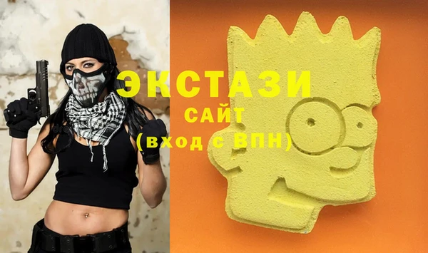 хмурый Алексин